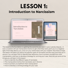 Load image into Gallery viewer, Phase 1: Co-Parenting with a Narcissist
