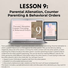 Load image into Gallery viewer, Phase 3: Co-Parenting with a Narcissist
